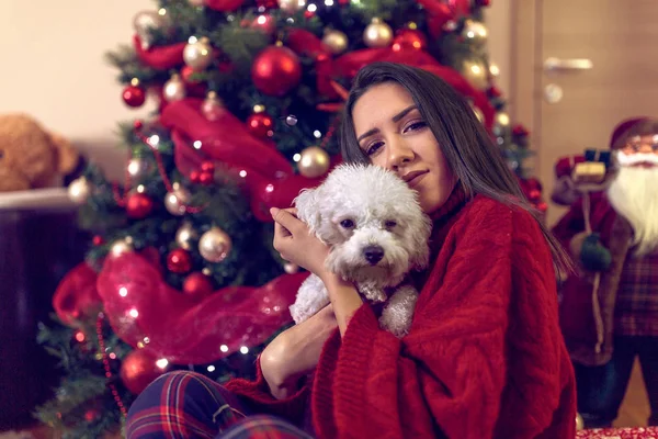 Gülümseyen kız Noel 'de sevimli bir köpek yavrusunu kucaklıyor. — Stok fotoğraf