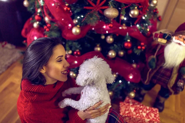 Mujer sonriente abrazando lindo cachorro en vacaciones de Navidad —  Fotos de Stock