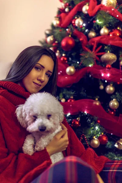 Lächelndes Mädchen umarmt süße Welpen in der Nähe des Weihnachtsbaums. Weihnachten — Stockfoto