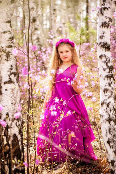 Uma criança está entre a ledum e bétula em um vestido rosa e sorrindo — Fotografia de Stock