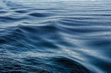 Su yüzeyindeki dalgalar.