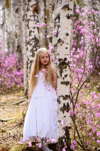 Un enfant se tient parmi le lédum et le bouleau en robe blanche, souriant et cheveux volants — Photo