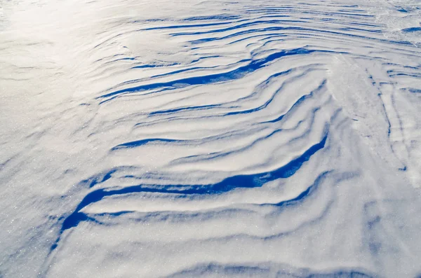 Фон свежей текстуры снега синим тоном Стоковая Картинка