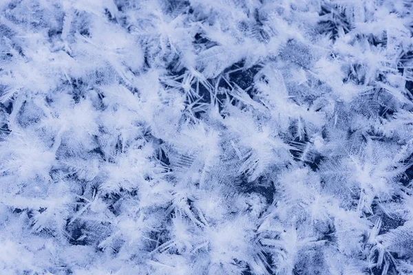 Αφηρημένα φόντο με νιφάδες χιονιού - νιφάδες χιονιού — Φωτογραφία Αρχείου