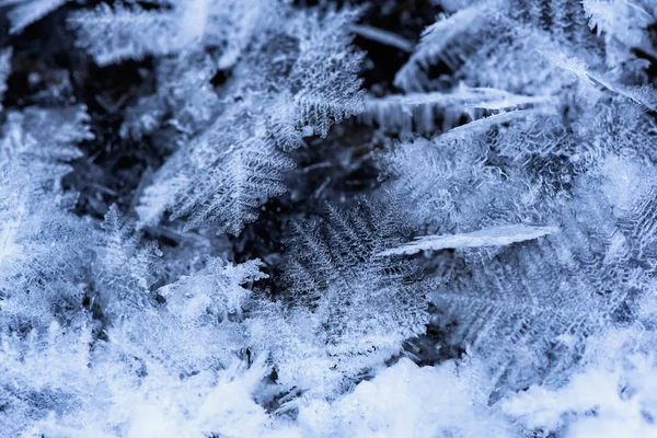 Kar taneleri - flakes-in kar ile arka plan — Stok fotoğraf