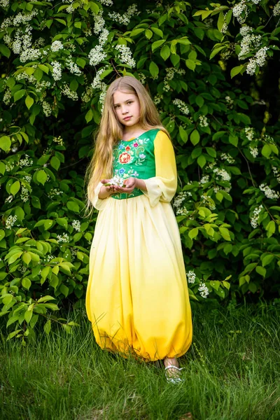 Blondes junges Mädchen posiert in einem gelbgrünen Kleid in der Nähe von Birken — Stockfoto