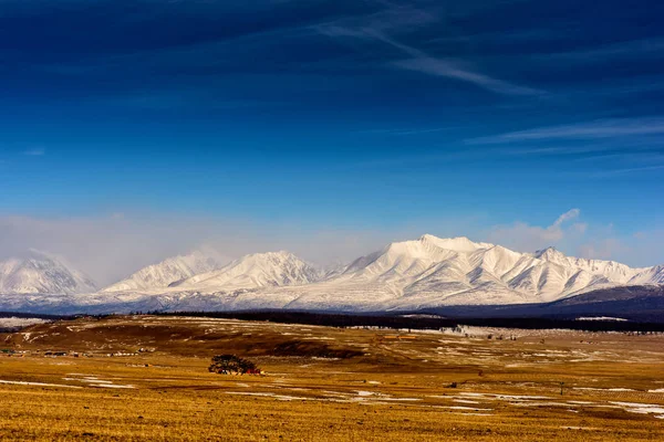 Moğolistan kış manzarası. Beyaz dağ arka plan ve sarı Vadisi — Stok fotoğraf