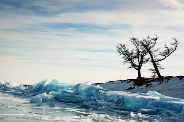 Hummocks Gelo Transparentes Azuis Puros Lago Congelado Inverno Com Árvores — Fotografia de Stock