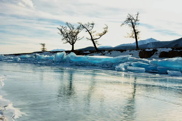 在冬季与树木的冰湖的纯蓝色透明冰腐殖质 — 图库照片