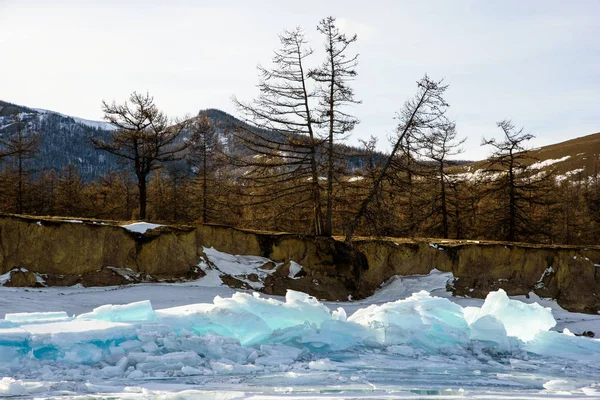 Nejroztodivnější Čistě Modré Transparentní Ledu Zamrzlého Jezera Zimě Stromy — Stock fotografie