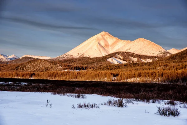 Valle Con Erba Gialla Uno Sfondo Montagne Innevate Ghiacciai Con — Foto Stock