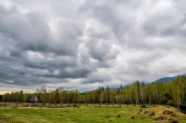 Panorama avec forêt, nature sauvage et nuages orageux — Photo