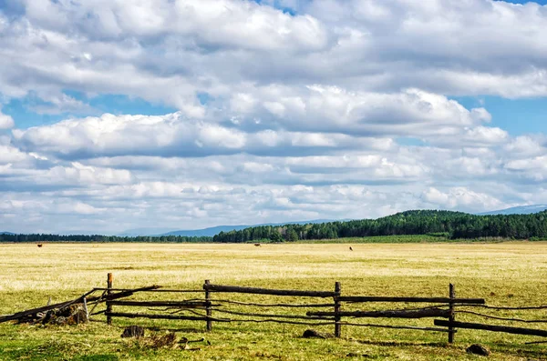 Kerítés, zöld mezőben kék felhő-ég alatt. gyönyörű táj — Stock Fotó