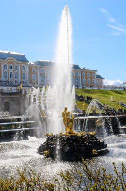 St Petersburg, Rusya - 4 Mayıs 2015: Peterhof Sarayı'ndaki Ünlü Grand Cascade Çeşmeleri. Unesco Dünya Mirası Listesi'nde yer alan Peterhof Sarayı.