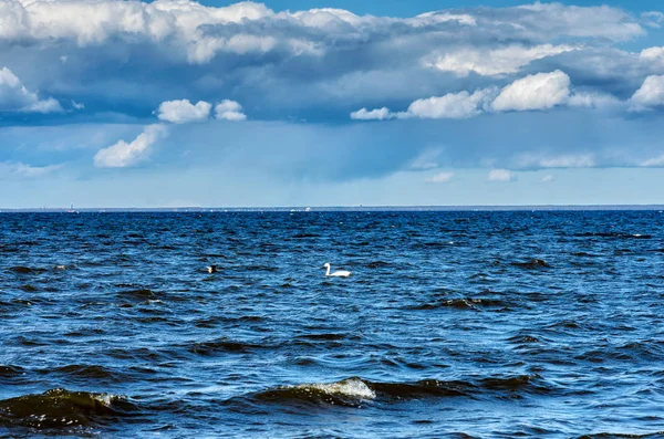 Peterhof, San Pietroburgo, Russia. Veduta del Golfo di Finlandia in una nuvolosa giornata primaverile dal palazzo e dall'ensemble del parco con un cielo blu — Foto Stock