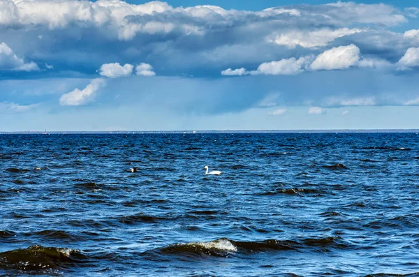 Peterhof, San Petersburgo, Rusia. Vista del Golfo de Finlandia en un día nublado de primavera desde el palacio y el conjunto del parque con un cielo azul —  Fotos de Stock