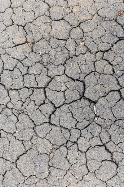 Cracked vertical texture. Closeup of dry soil — Stock Photo, Image
