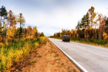 Uzak mesafede renkli orman ve dağ ile kavisli bir sonbahar yolu
