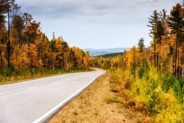 Uzak mesafede renkli orman ve dağ ile kavisli bir sonbahar yolu