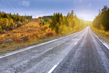 Uzak mesafede renkli orman ve dağ ile kavisli bir sonbahar yolu