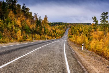 Uzak mesafede renkli orman ve dağ ile kavisli bir sonbahar yolu