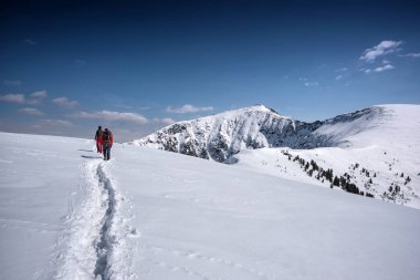 Irkutsk bölgesi, Rusya, Slyudyanka - 13 Nisan 2019: Bir grup insan dağda yürüyüş yapıyor ve köknar ağaçlarının arasında kar da görülüyor