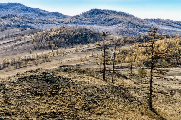 Deniz Baykal, Sibirya'nın Batı Kıyısı Tazhenranskaya bozkırda