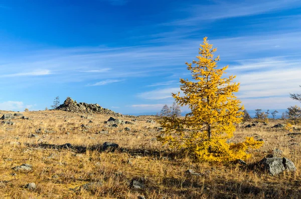 Estepa de Tazhenranskaya en la costa oeste del lago Baikal, Siberia —  Fotos de Stock