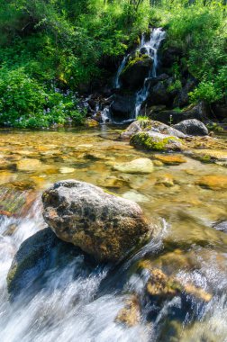 Dağ ormanının derinliklerinde bir nehir. Doğa bileşimi.