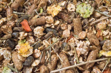  doğal sportif temel müsli arka plan. Horse.Macro için