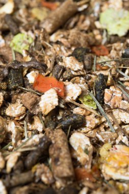  doğal sportif arka müsli ve granül. Horse.Macro için