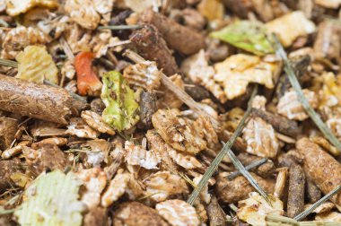  doğal sportif temel müsli arka plan. Horse.Macro için