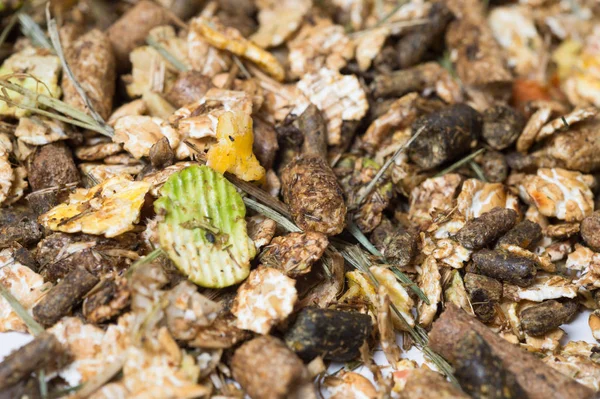 Natuurlijke Sportieve Basic Muesli Achtergrond Voor Horse Macro — Stockfoto