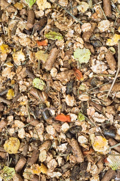 Muesli Deportivo Natural Fondo Gránulos Para Caballo Cerca — Foto de Stock