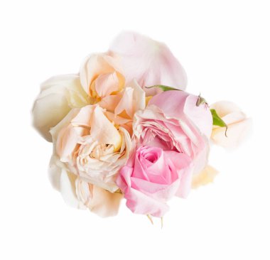 Sanat yığın çevresinde beyaz pembe gül