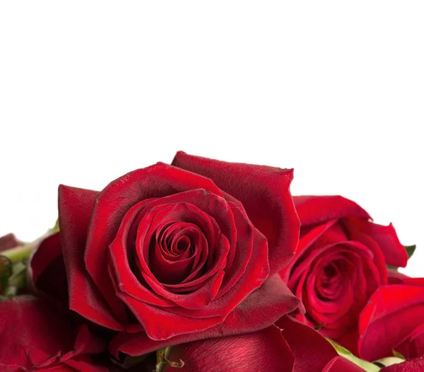 Bouquet Red Roses White Background Stock Photo