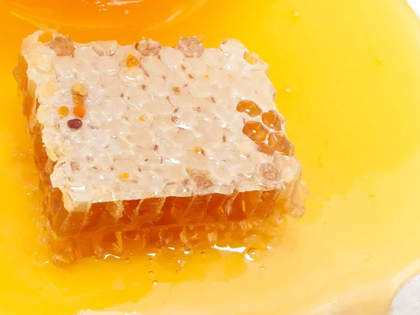 Fresh Honeycomb Honey Close — Stock Photo, Image