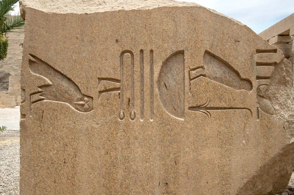 Součástí stella. Velká sloupová síň z chrámu v Karnaku. Větší — Stock fotografie