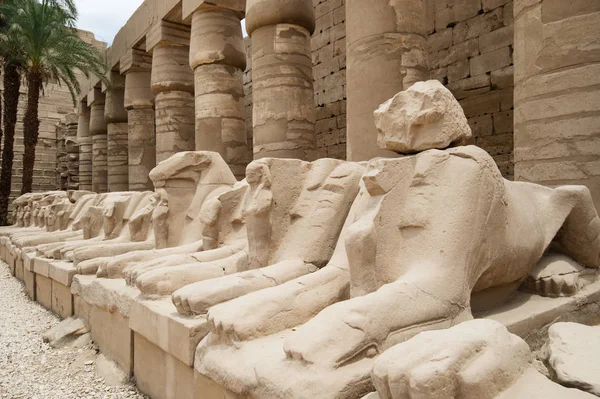 Statues égyptiennes antiques de sphinx dans le temple karnak de Louxor — Photo