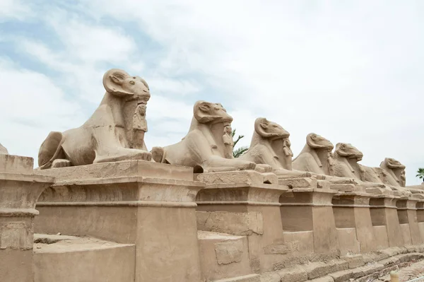 Древние египетские статуи сфинкса в храме карнака Луксор — стоковое фото