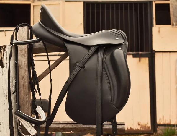 Bridle and professional dressage saddle hanging near stable — Stock Photo, Image