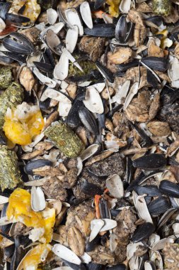 müsli atlar arka planı için