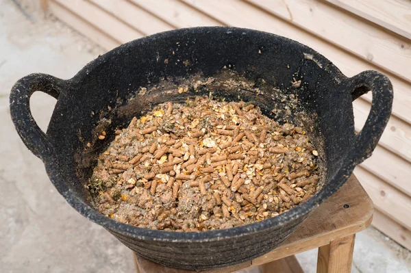 Tazón con muesli para caballo deportivo —  Fotos de Stock