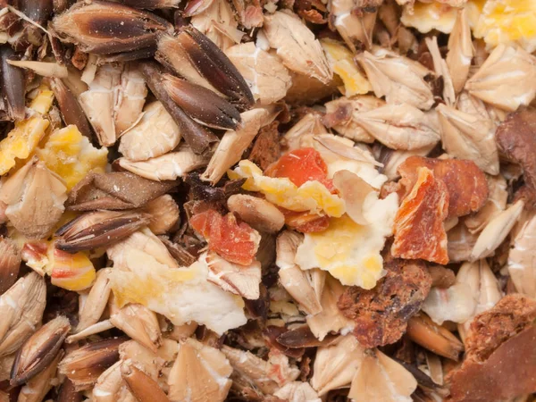 Professional sportive horse  muesli  with black oats. macro shot — Stock Photo, Image