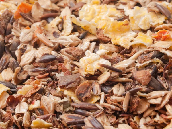 Professional sportive horse  muesli  with black oats. macro shot — Stock Photo, Image