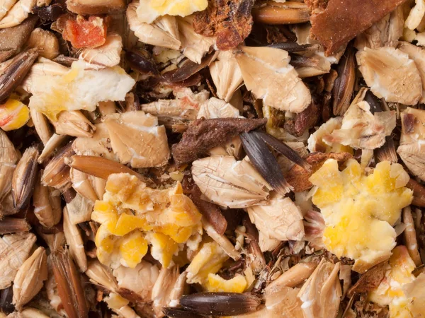 Professional sportive horse  muesli  with black oats. macro shot — Stock Photo, Image