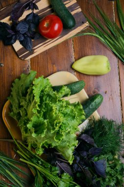 taze organik sebzeler, bazilik ve pişirme yeşil salata 