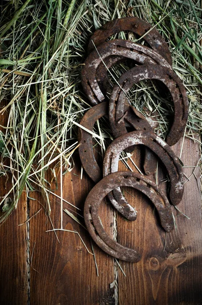 Equesrtian background. Lucky old  horseshoes laying at wooden ba — Stock Photo, Image