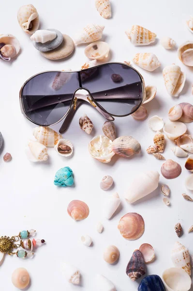 Gafas de sol de moda alrededor de conchas marinas en fondo blanco — Foto de Stock