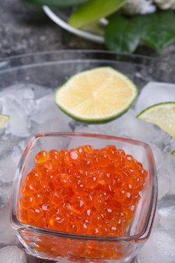  buz etrafında kireç ile taze kırmızı somon havyar. makro çekim. Pro